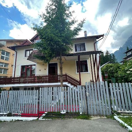 Hotel Constantinescu A. à Buşteni Extérieur photo