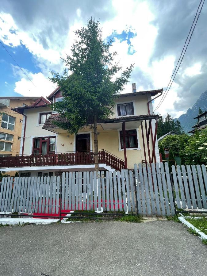 Hotel Constantinescu A. à Buşteni Extérieur photo