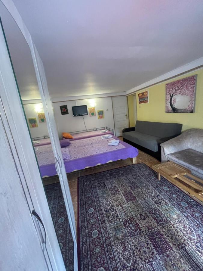 Hotel Constantinescu A. à Buşteni Extérieur photo