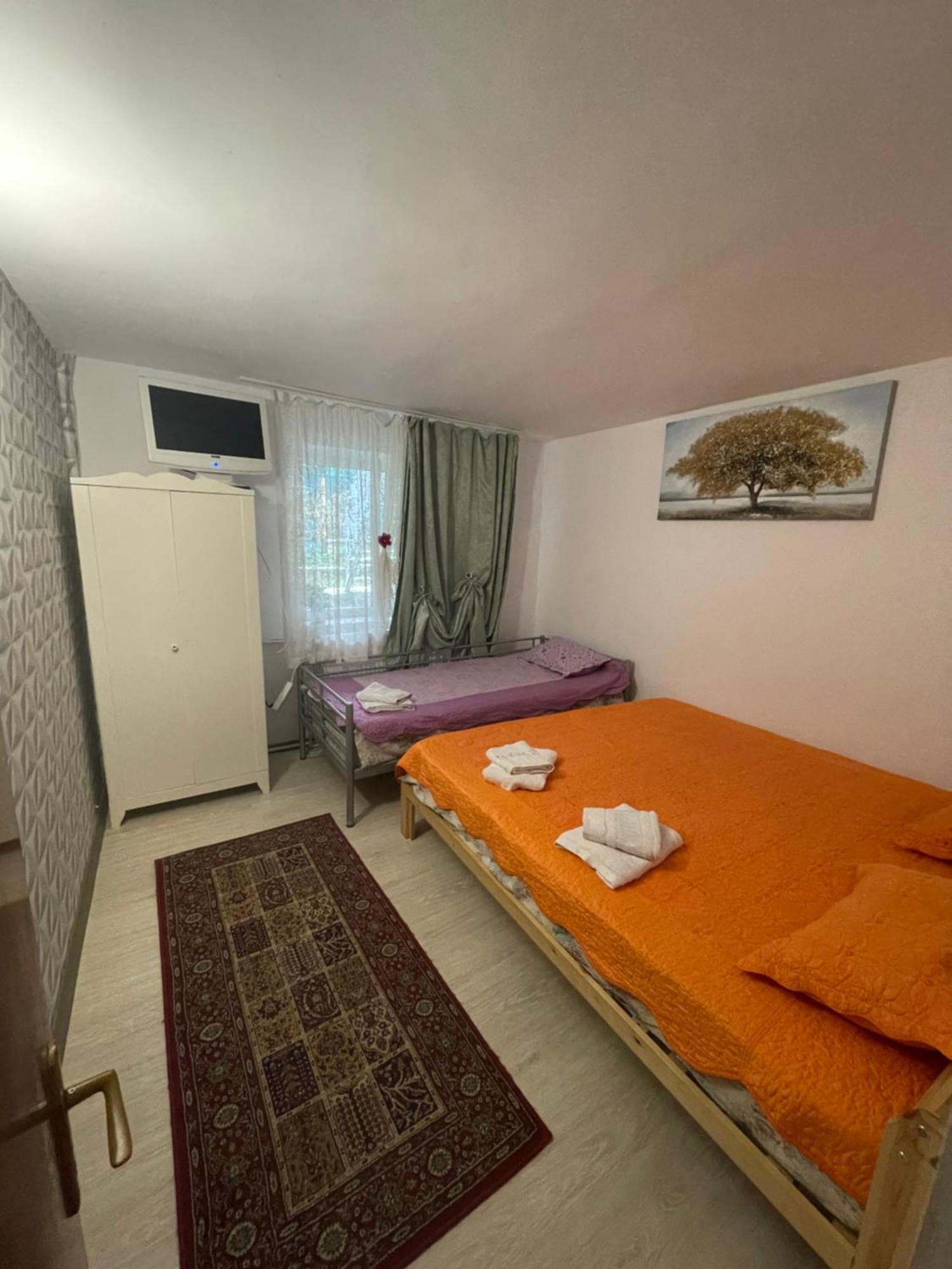 Hotel Constantinescu A. à Buşteni Extérieur photo