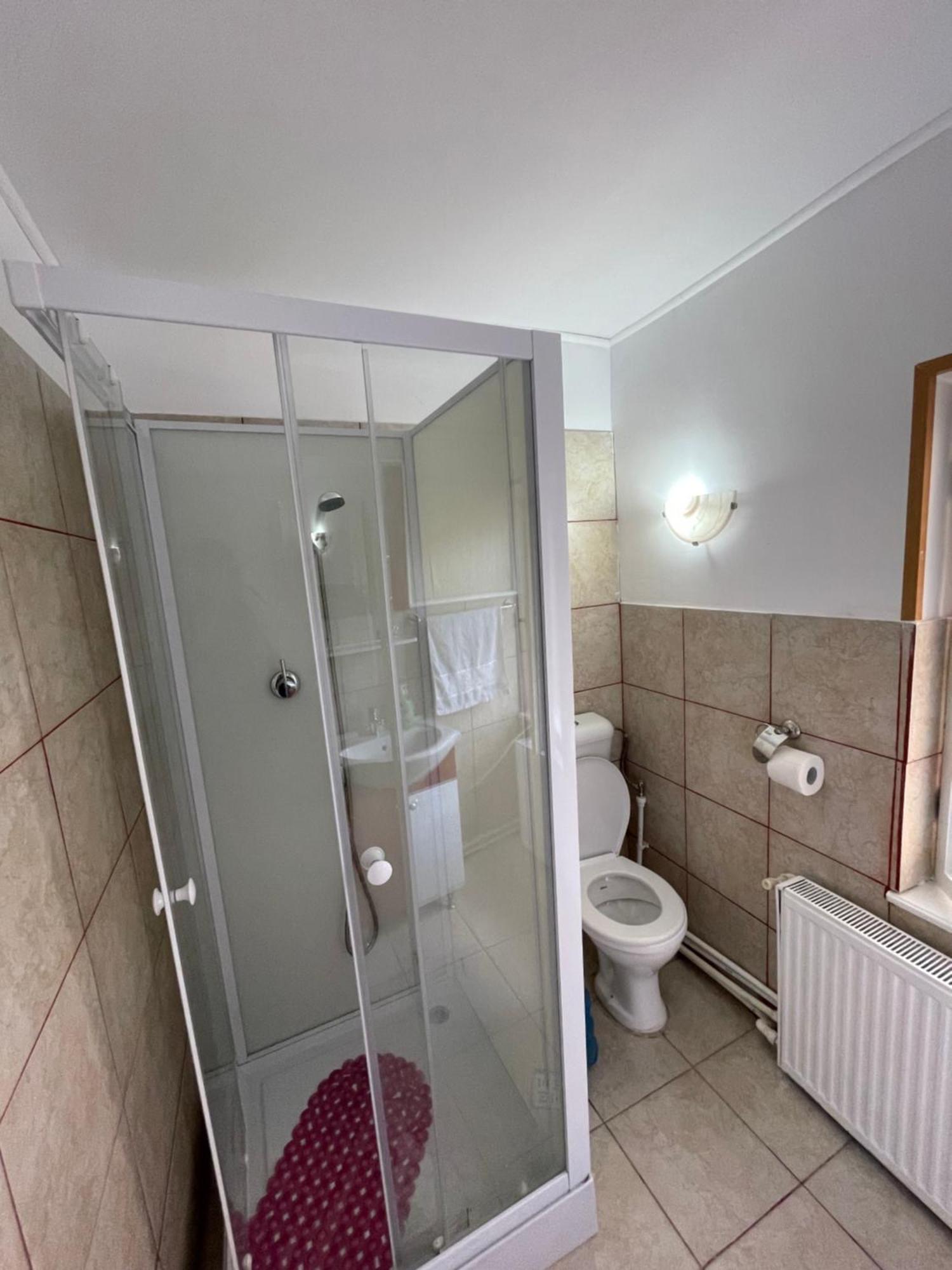 Hotel Constantinescu A. à Buşteni Extérieur photo