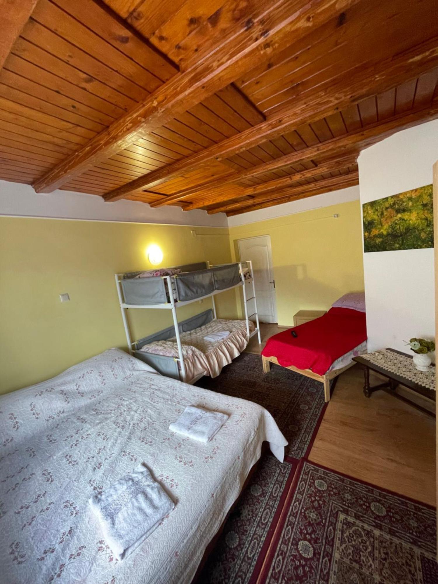 Hotel Constantinescu A. à Buşteni Extérieur photo