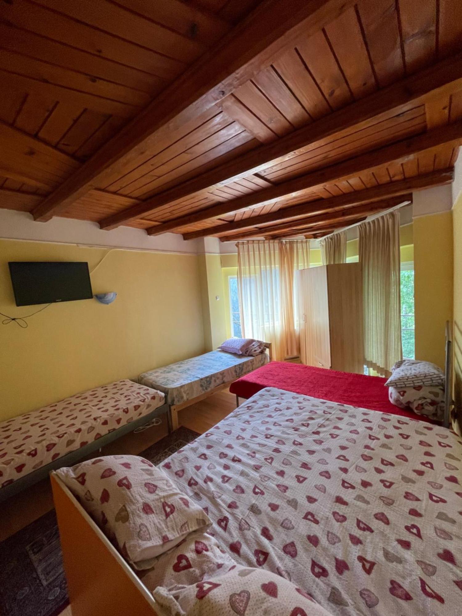 Hotel Constantinescu A. à Buşteni Extérieur photo